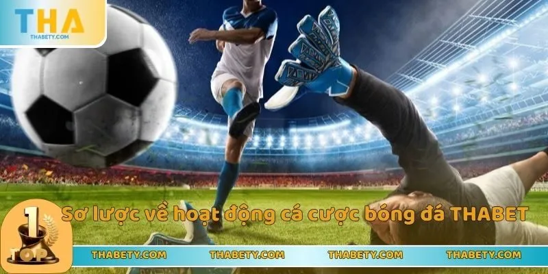 Sơ lược về hoạt động cá cược bóng đá THABET